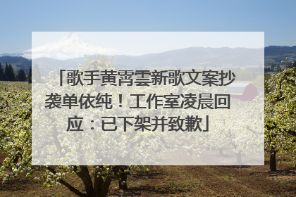 歌手黄霄雲新歌文案抄袭单依纯！工作室凌晨回应：已下架并致歉