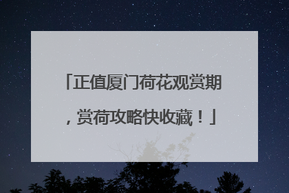 正值厦门荷花观赏期，赏荷攻略快收藏！