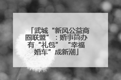 武城“新风公益商圈联盟”：婚事简办有“礼包” “幸福婚车”成新潮