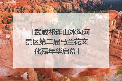 武威祁连山冰沟河景区第二届马兰花文化嘉年华启幕