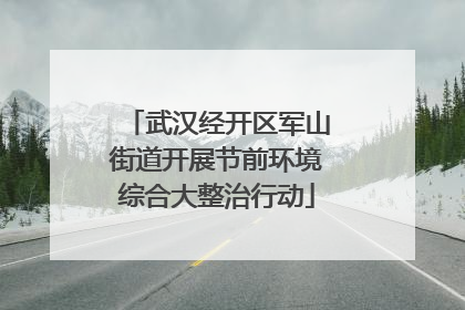 武汉经开区军山街道开展节前环境综合大整治行动
