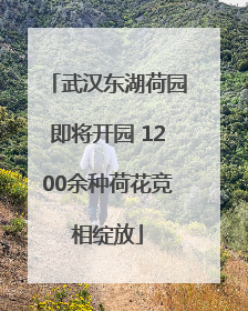武汉东湖荷园即将开园 1200余种荷花竞相绽放