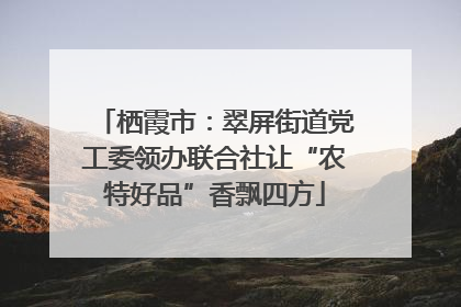 栖霞市：翠屏街道党工委领办联合社让“农特好品”香飘四方