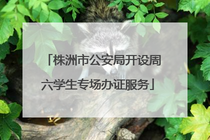 株洲市公安局开设周六学生专场办证服务