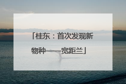 桂东：首次发现新物种——宽距兰