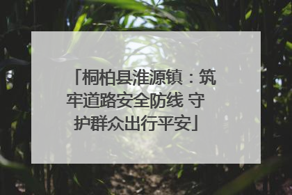 桐柏县淮源镇：筑牢道路安全防线 守护群众出行平安