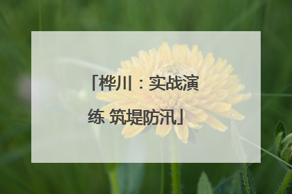 桦川：实战演练 筑堤防汛