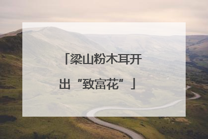 梁山粉木耳开出“致富花”