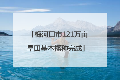 梅河口市121万亩旱田基本播种完成