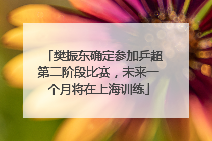 樊振东确定参加乒超第二阶段比赛，未来一个月将在上海训练