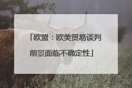 欧盟：欧美贸易谈判前景面临不确定性