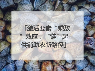激活要素“乘数”效应，“链”起供销助农新路径