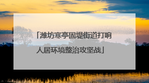 潍坊寒亭固堤街道打响人居环境整治攻坚战