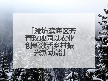 潍坊滨海区芳青玫瑰园以农业创新激活乡村振兴新动能