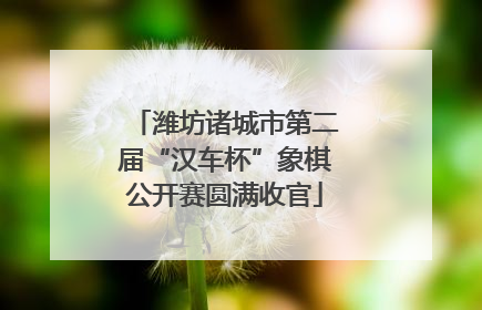 潍坊诸城市第二届“汉车杯”象棋公开赛圆满收官