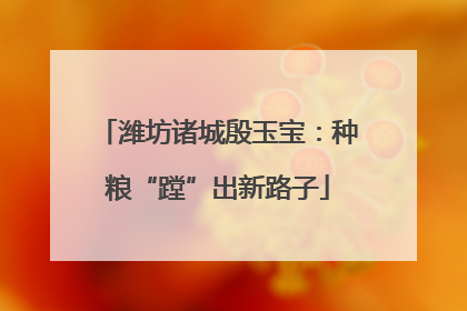 潍坊诸城殷玉宝：种粮“蹚”出新路子