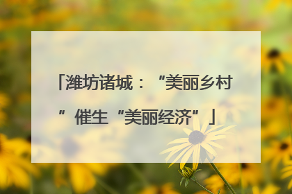 潍坊诸城：“美丽乡村”催生“美丽经济”