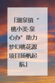 潮泉镇“桃小美·泉心办”助力梦幻桃花源项目扬帆起航