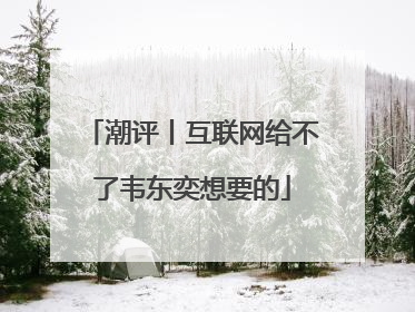 潮评丨互联网给不了韦东奕想要的