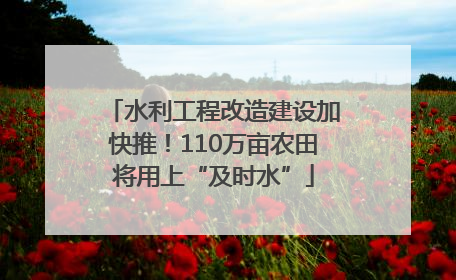 水利工程改造建设加快推！110万亩农田将用上“及时水”