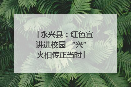 永兴县：红色宣讲进校园 “兴”火相传正当时