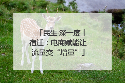 民生·深一度丨宿迁：电商赋能让流量变“增量”