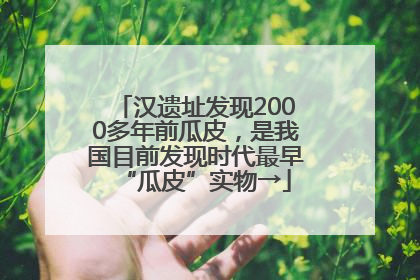 汉遗址发现2000多年前瓜皮，是我国目前发现时代最早“瓜皮”实物→
