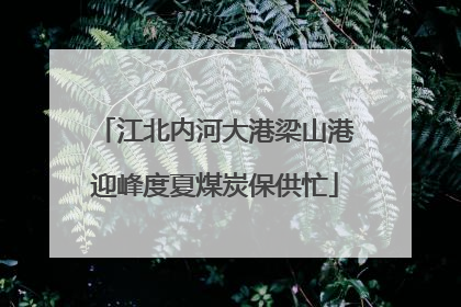 江北内河大港梁山港迎峰度夏煤炭保供忙