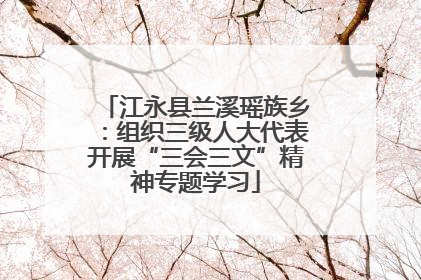 江永县兰溪瑶族乡：组织三级人大代表开展“三会三文”精神专题学习