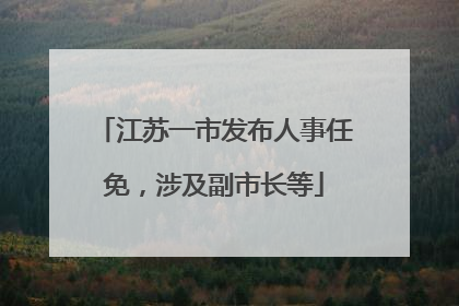 江苏一市发布人事任免，涉及副市长等