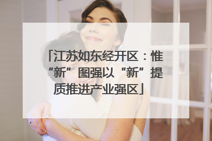 江苏如东经开区：惟“新”图强以“新”提质推进产业强区