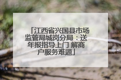 江西省兴国县市场监管局城岗分局：送年报指导上门 解商户服务难题