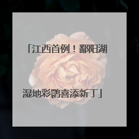 江西首例！鄱阳湖湿地彩鹮喜添新丁