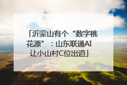 沂蒙山有个“数字桃花源”：山东联通AI让小山村C位出道