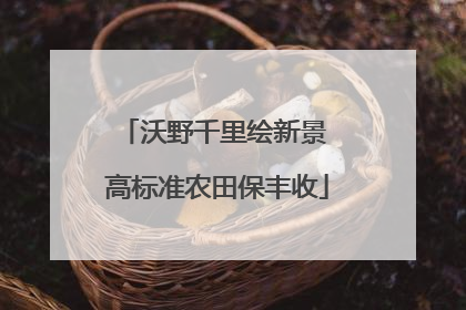 沃野千里绘新景 高标准农田保丰收