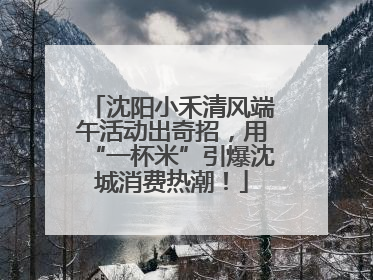沈阳小禾清风端午活动出奇招，用“一杯米”引爆沈城消费热潮！