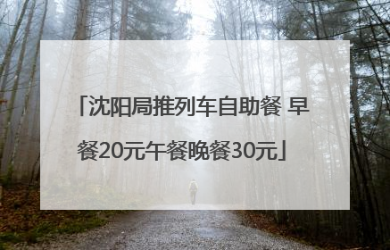 沈阳局推列车自助餐 早餐20元午餐晚餐30元