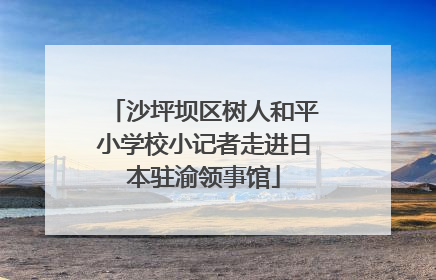 沙坪坝区树人和平小学校小记者走进日本驻渝领事馆