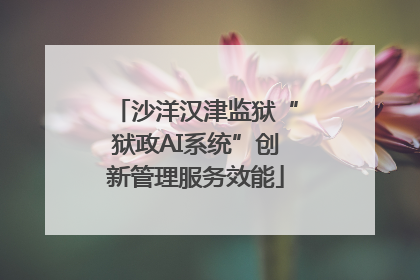 沙洋汉津监狱“狱政AI系统”创新管理服务效能