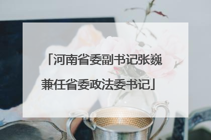 河南省委副书记张巍兼任省委政法委书记