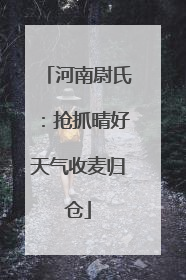 河南尉氏：抢抓晴好天气收麦归仓