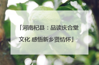 河南杞县：品读庆合堂文化 感悟新乡贤情怀