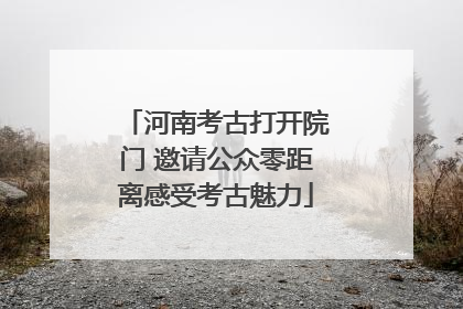 河南考古打开院门 邀请公众零距离感受考古魅力