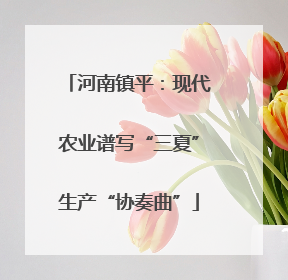河南镇平：现代农业谱写“三夏”生产“协奏曲”