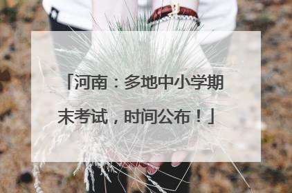 河南：多地中小学期末考试，时间公布！