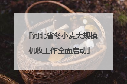 河北省冬小麦大规模机收工作全面启动