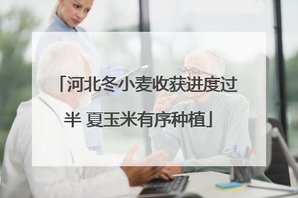 河北冬小麦收获进度过半 夏玉米有序种植
