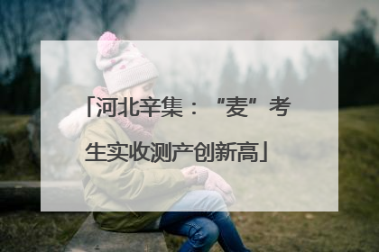 河北辛集：“麦”考生实收测产创新高
