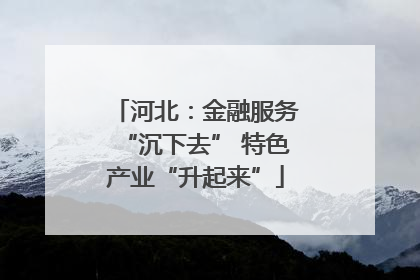 河北：金融服务“沉下去” 特色产业“升起来”