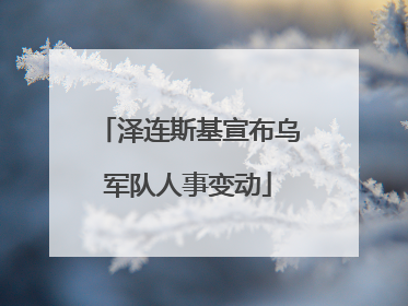 泽连斯基宣布乌军队人事变动